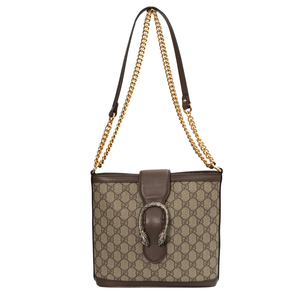 Small Dionysus bucket bag in brown monogram canvas