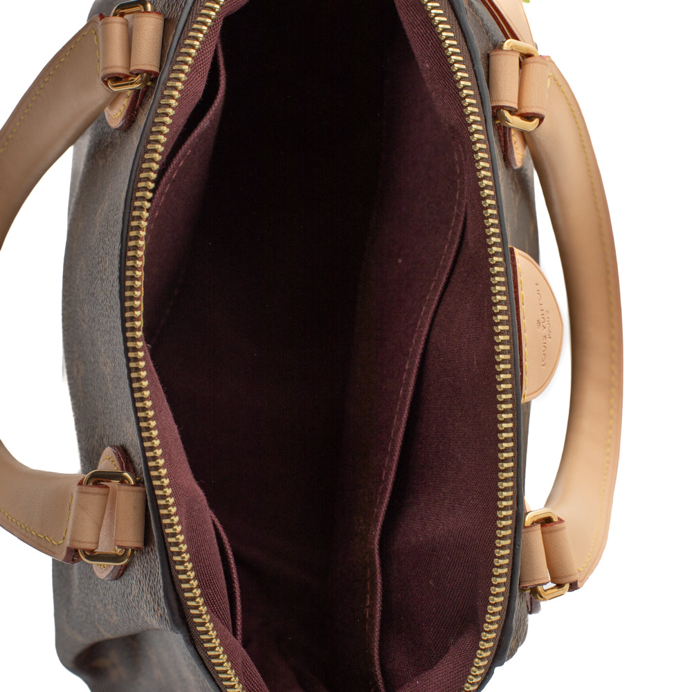Rivoli cloth bag Louis Vuitton Brown in Cloth - 38819366