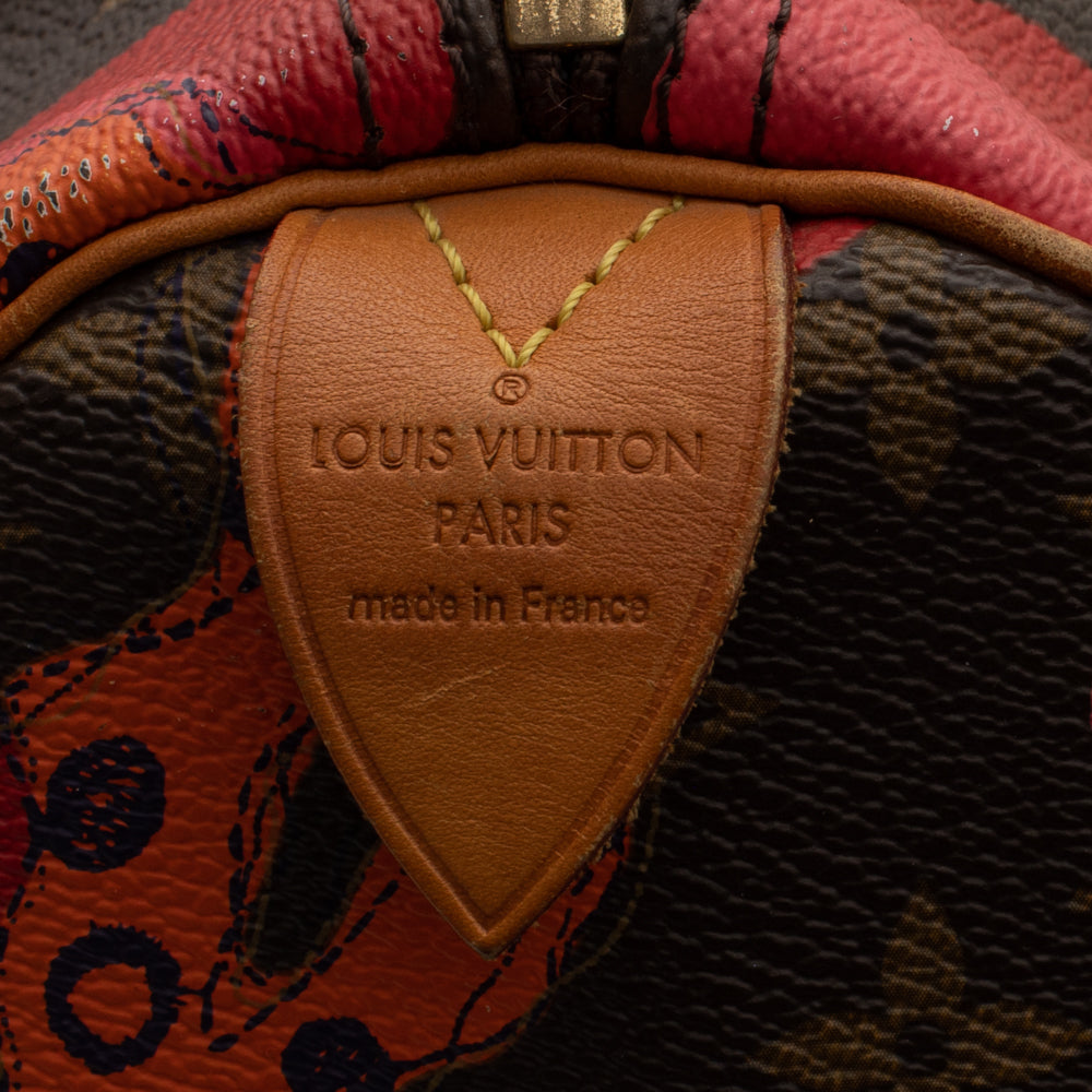 Louis Vuitton Limited Edition Speedy 30 Grenade Ramages Monogram Canvas  Purse